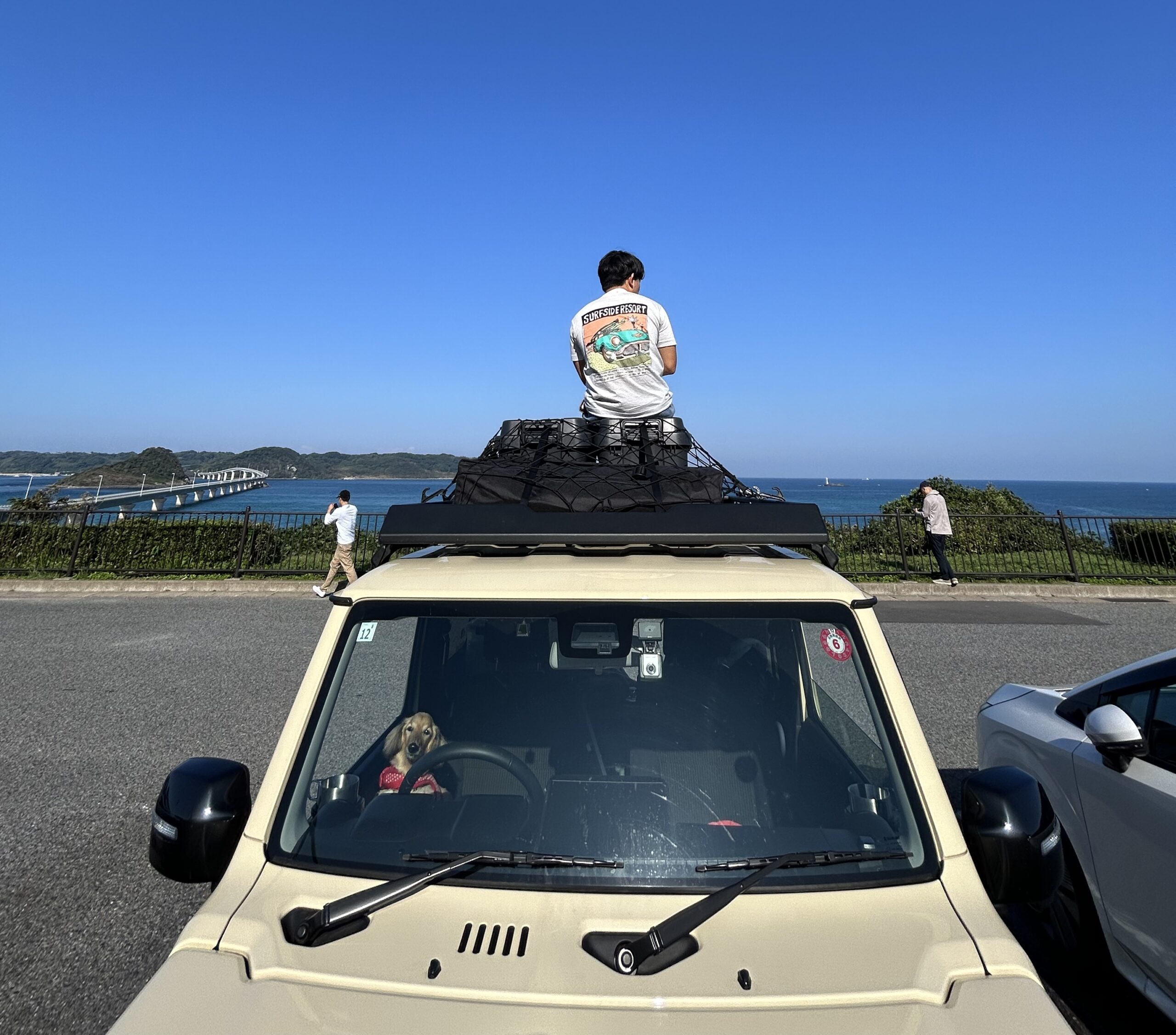 ジムニーのルーフラックで景色を楽しむサスケ